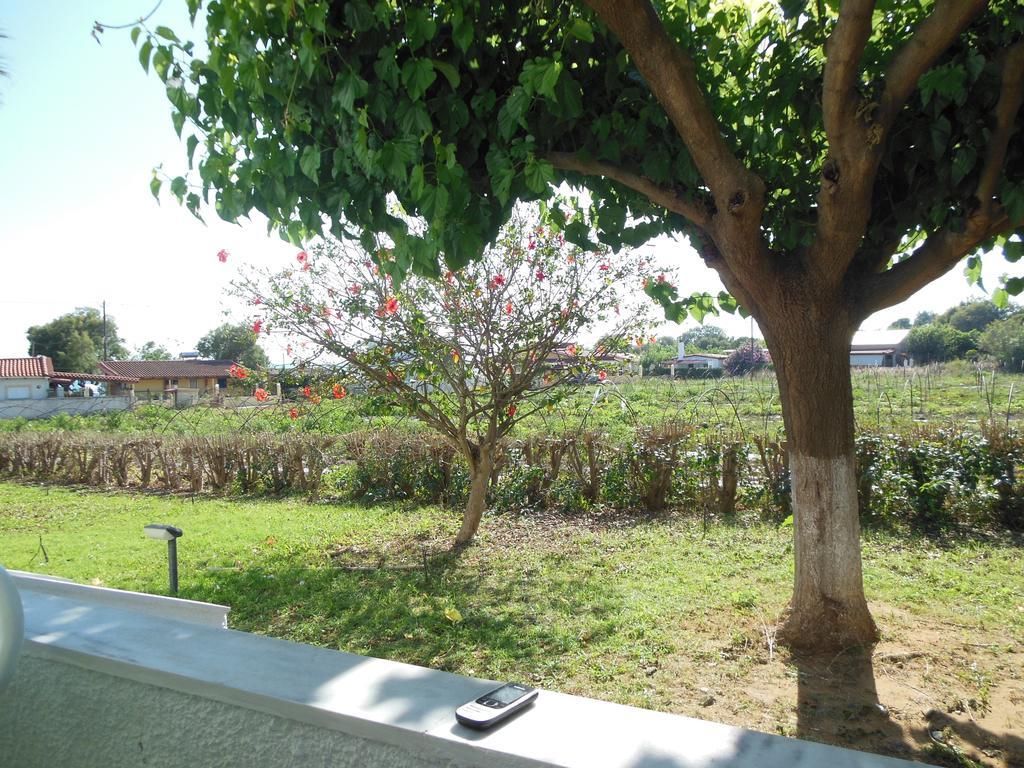 Helonata Apartments Arkoudi Dış mekan fotoğraf