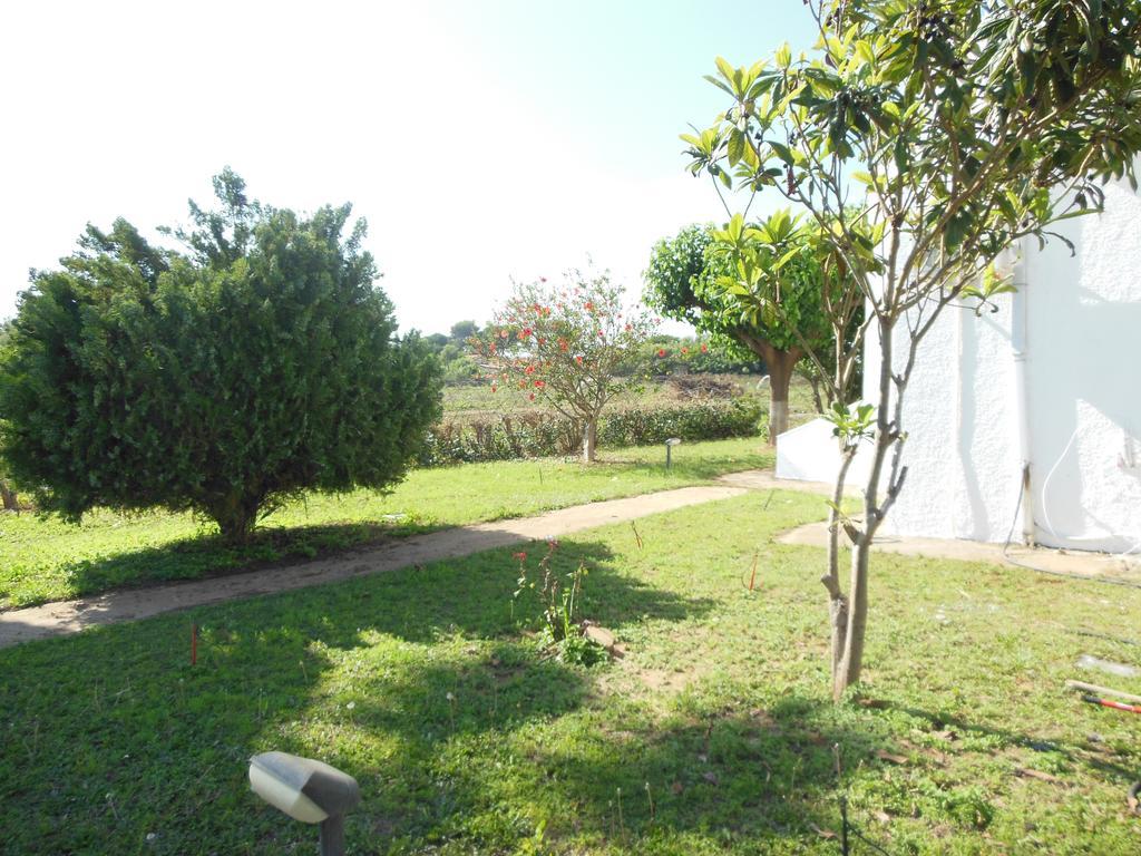 Helonata Apartments Arkoudi Dış mekan fotoğraf