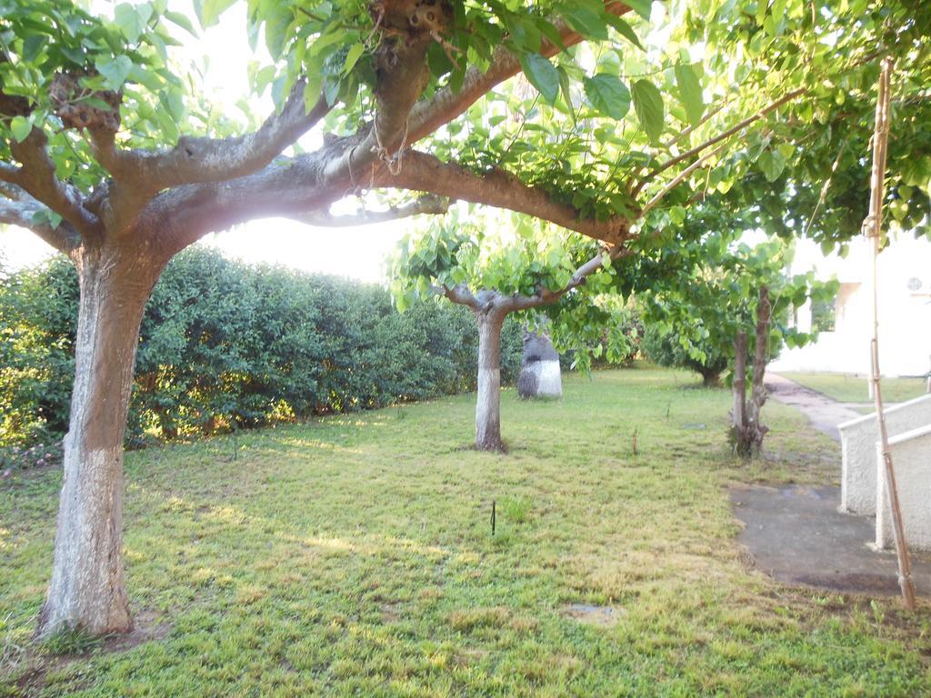 Helonata Apartments Arkoudi Dış mekan fotoğraf