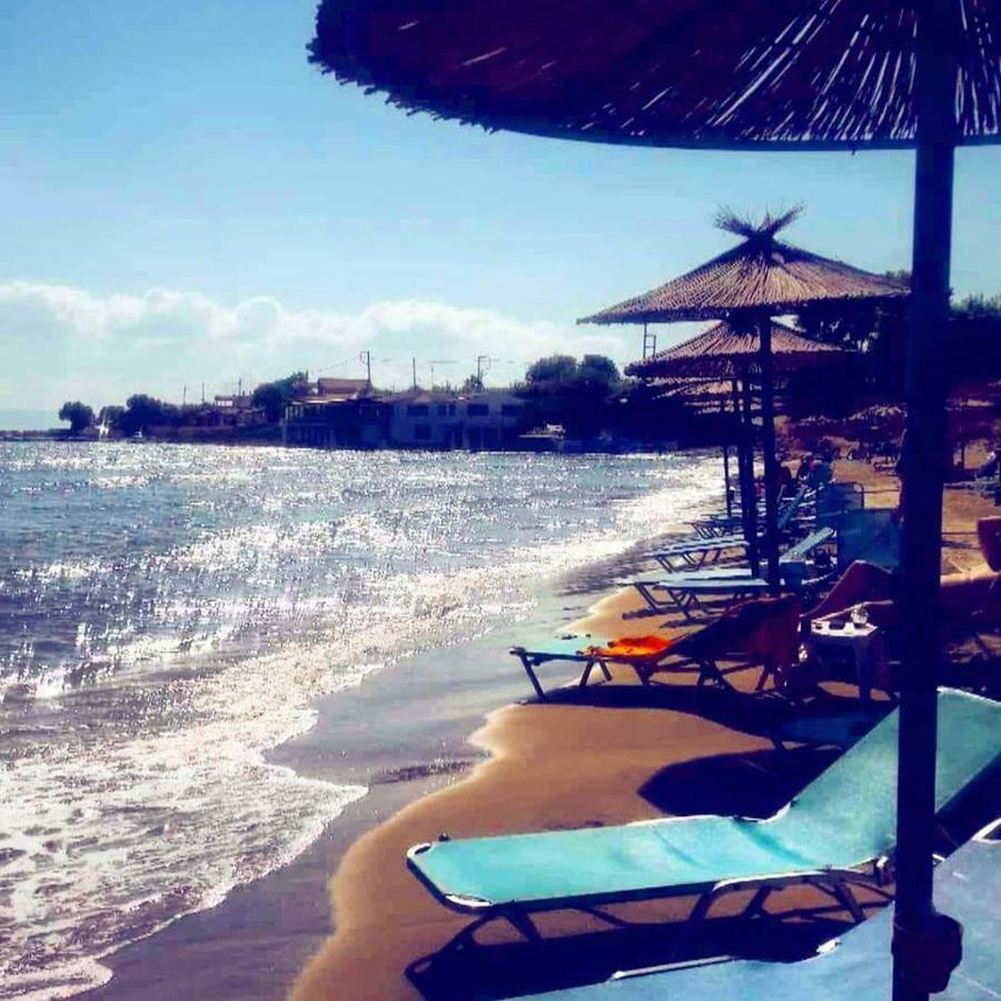 Helonata Apartments Arkoudi Dış mekan fotoğraf
